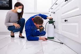 Emergency Pest Control in Somerset, OH